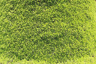 玩家自制《最终幻想7：重制版》劳拉mod 代替蒂法