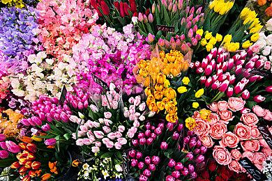 《战锤40K：星际战士2》Steam“多半好评”  好评率75%